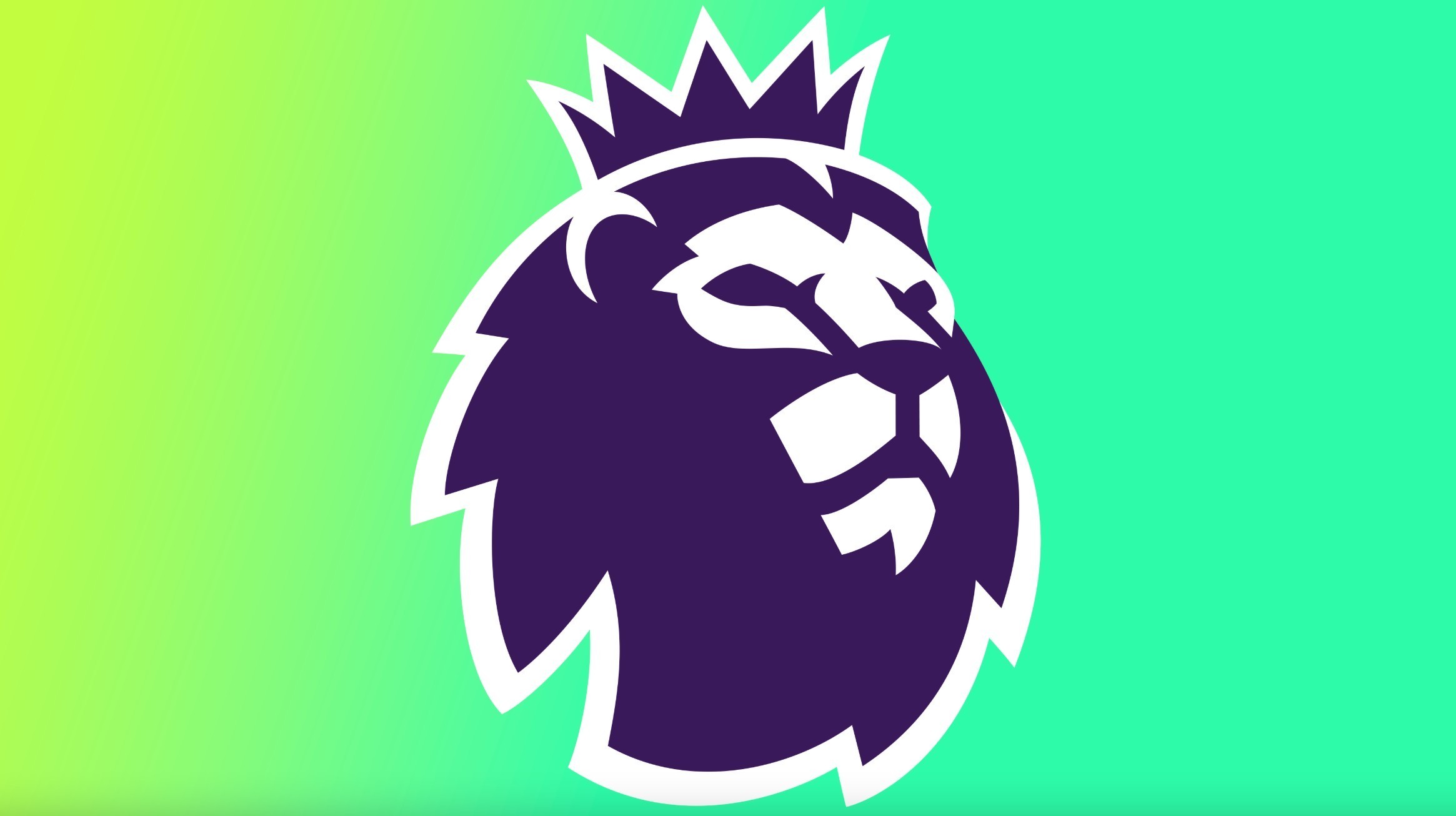 国家队会因 国家队会因